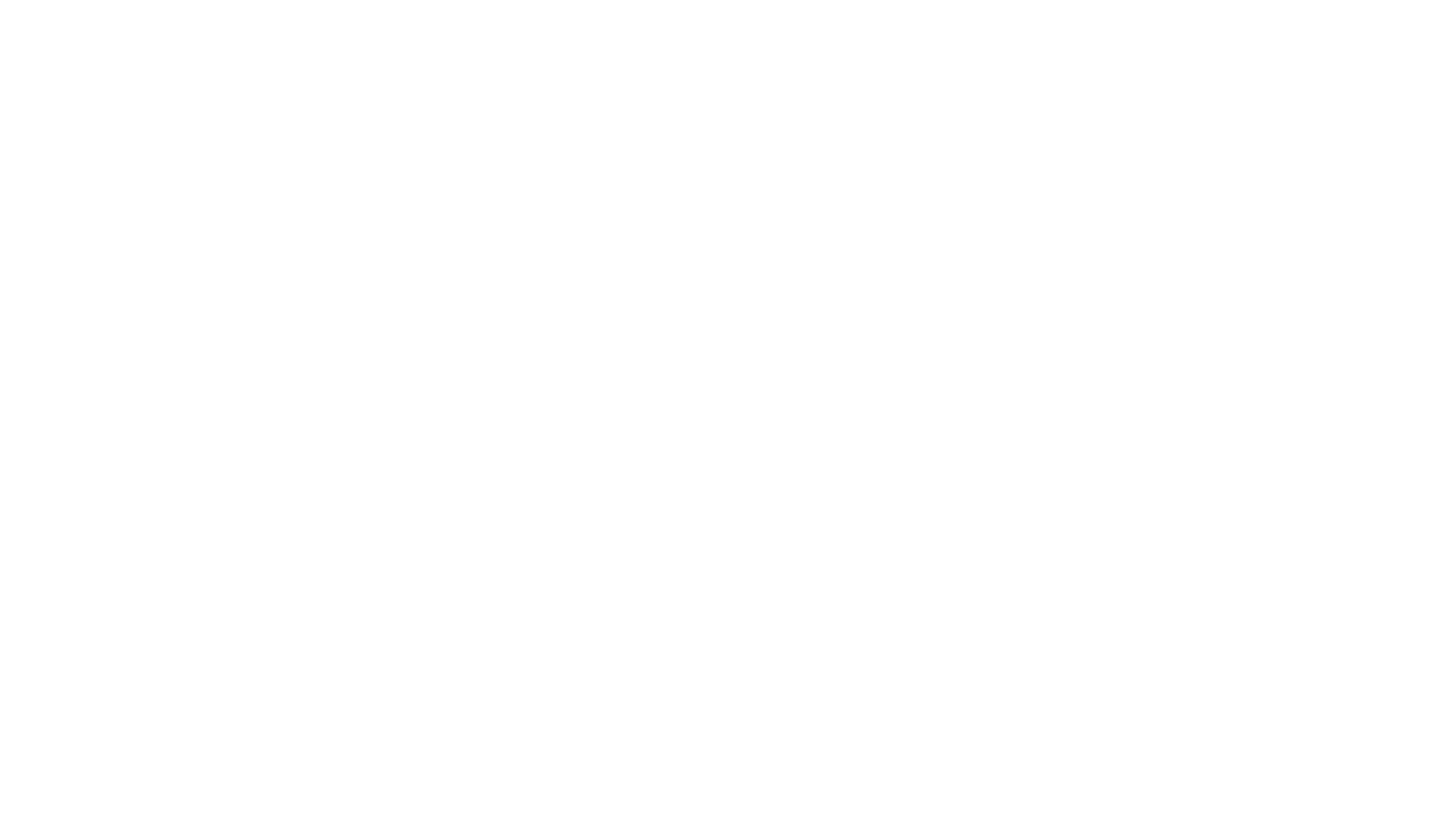 Punes Logo